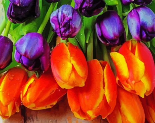 Orange Purple Tulip paint by number