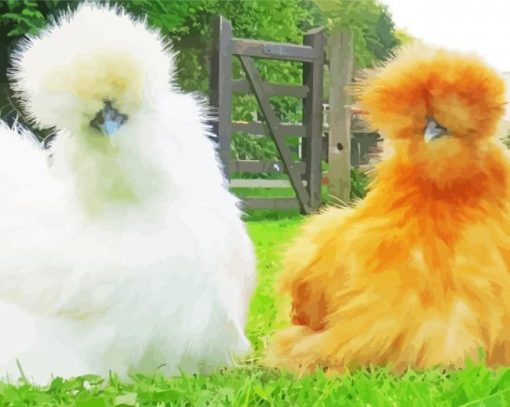 Orange And White Silkie Chickens Paint by number
