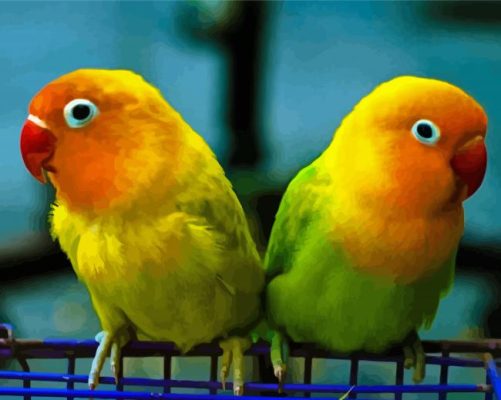 Parrot Love Bird paint by number