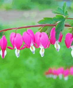 Pink Bleeding Heart paint by number