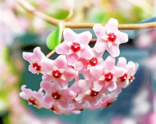 Pink Hoya Plant paint by number number