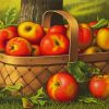 Prentice Apples In A Basket paint by number
