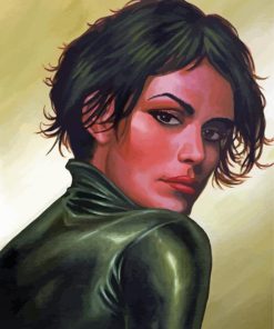 Selina Kyle paint by number
