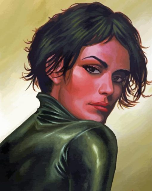 Selina Kyle paint by number