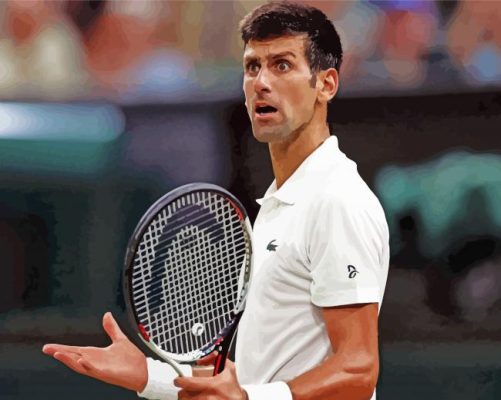 Serbian Novak Djokovic paint by number