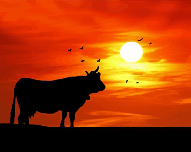 Silhouette Cow Sunset Paint by number