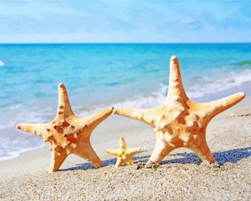 Starfish Family In Beach paint by number