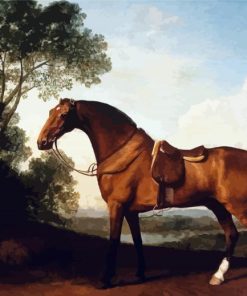Stubbs Horse paint by number