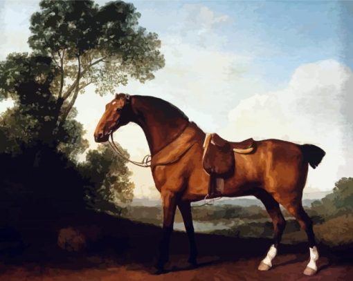 Stubbs Horse paint by number