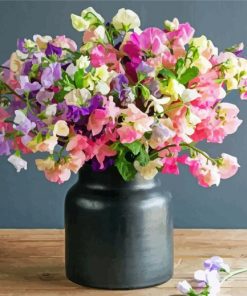Sweet Pea Flower Illustration paint by number
