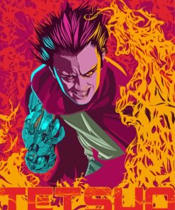 Tetsuo Illustration paint by number