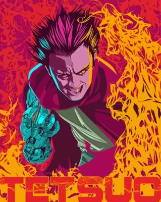 Tetsuo Illustration paint by number