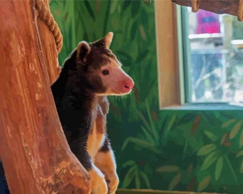 Tree Kangaroo Animal paint by number