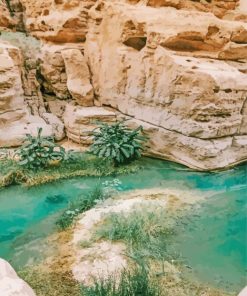 Wadi Ash Shab paint by number