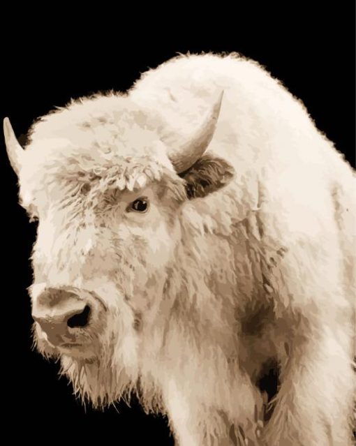White Buffalo Animal paint by number