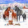 Winter Horses Paint by number