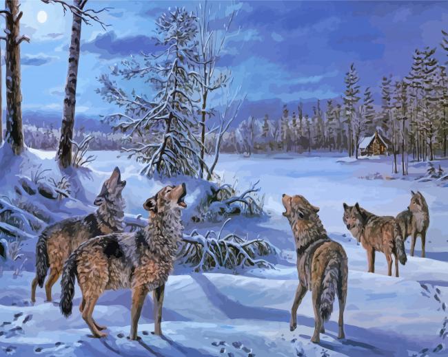 Wintry Wolves Animals paint by number