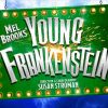 Young Frankenstein paint by number