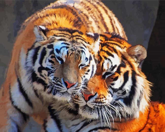 Adorable Tiger Couple paint by number