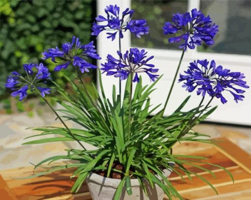 Aesthetic Agapanthus paint by number