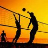 Aesthetic Beach Volleyball Illustration Paint by number