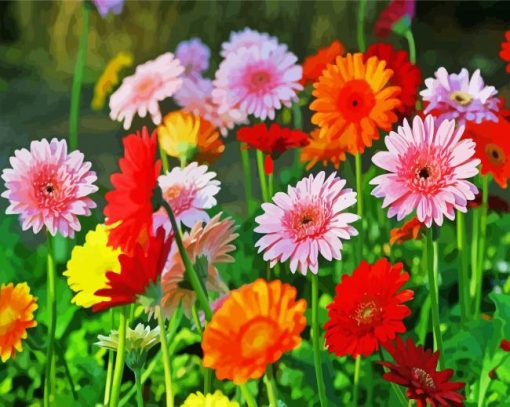 Aesthetic Berber Daisy Illustration paint by number