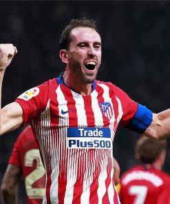 Aesthetic Diego Godin paint by number
