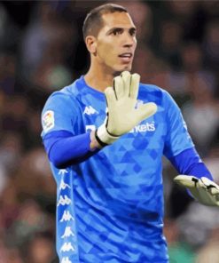 Aesthetic Joel Robles paint by number