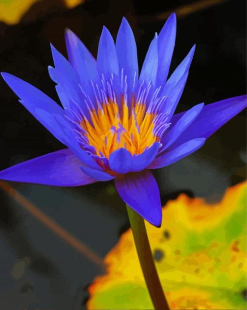 Aesthetic Flower Blue Lotus paint by number