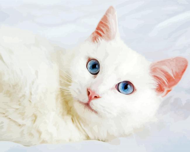 Aesthetic White Cat Animal paint by number