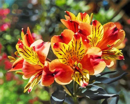 Alstroemeria Flowers paint by number