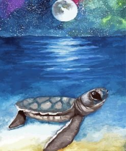 Baby Sea Turtle paint by number