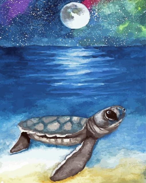 Baby Sea Turtle paint by number