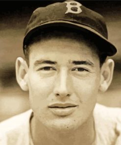 Baseballer Ted Williams paint by number