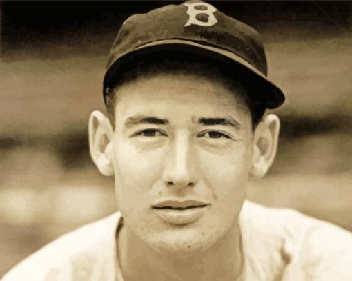 Baseballer Ted Williams paint by number