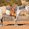 Beige Ranch Horses paint by number