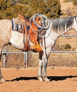 Beige Ranch Horses paint by number