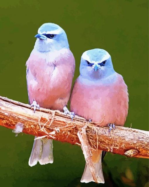 Birds With Pink paint by number
