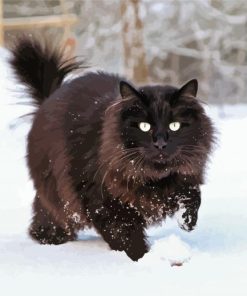 Black Large Fluffy Cat In Snow paint by number