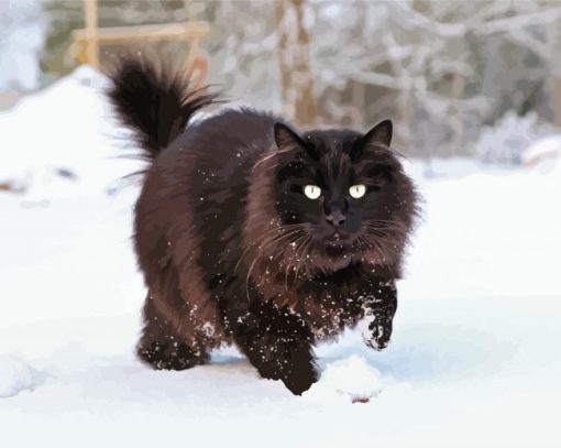 Black Large Fluffy Cat In Snow paint by number