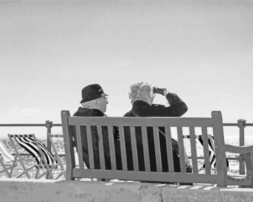 Black And White Couple On A Bench Paint by number
