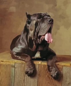 Black Neapolitan Mastiff paint by number