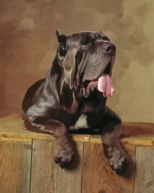 Black Neapolitan Mastiff paint by number