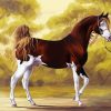 Brown And White Mare Horse Art paint by number