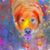 Colorful Messy Animals paint by number