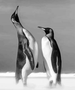 Cool Black And White Penguins paint by number