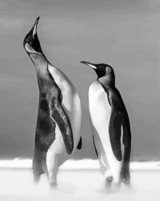 Cool Black And White Penguins paint by number