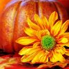 Cool Fall Pumpkin Scene paint by number