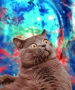 Cool Space Cat paint by number