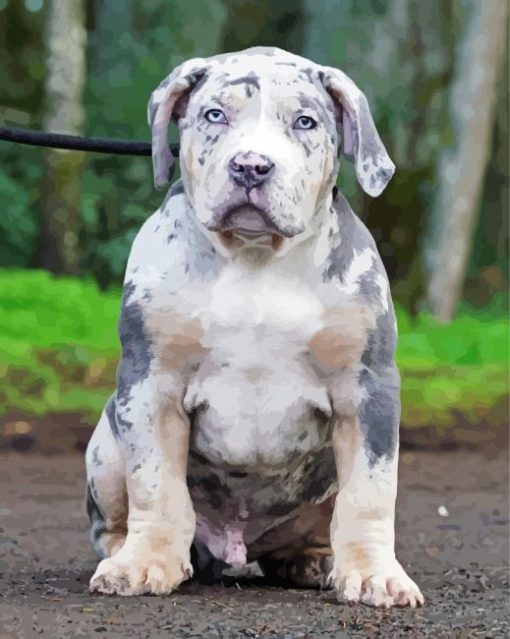 Cute American Bully paint by number